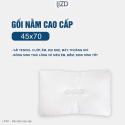 Gối nằm cao cấp, dáng thấp, đỡ cổ vai gáy, bông lông vũ - LPI51