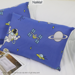 Set Ruột + Vỏ Gối Coolpoly Bông SInh Thái - PCC35